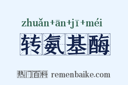 转氨基酶是什么意思的图片